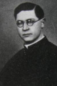 Profile picture for user Kárpáti Károly